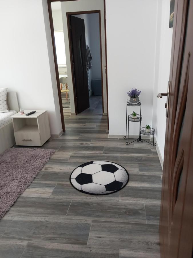 Dana Studio تولتشيا المظهر الخارجي الصورة